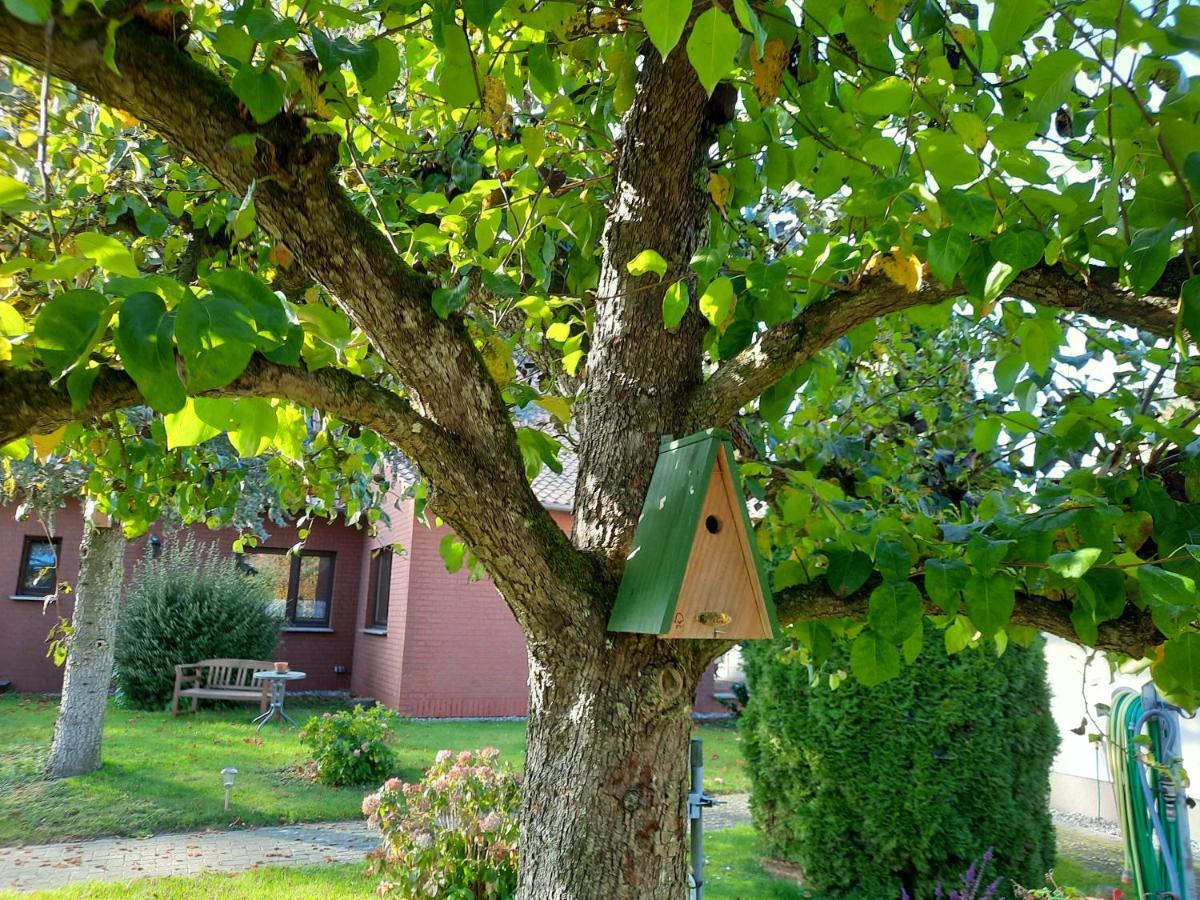 Das Kleine, Gemuetliche Ferienhaus 루도프 외부 사진